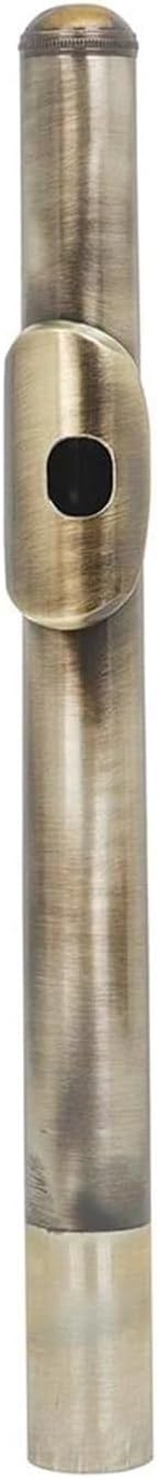 フルート楽器 16 穴フルート C キークローズドケースグローブ木管楽器初心者/大人/プロフェッショナル バンコク限定