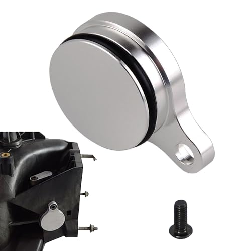OywhC Ls Lq4 Tube Plug Intake Cover Plate for Lsx for Silverado 4.8L 5.3L 6.0L Auto Parts Replace Aluminum Alloy Tube Plug Plate (Silver)