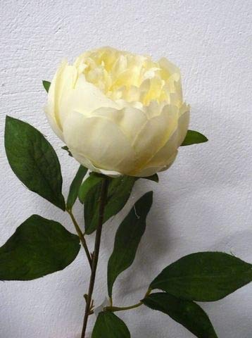 Justartificial Cream Artificial Silk Peony - 64Cm,