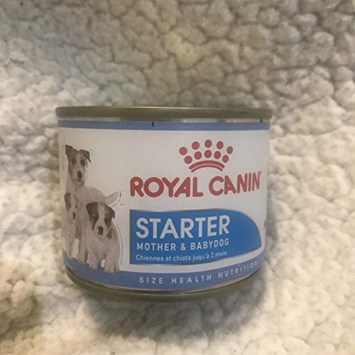 Royal Canin Starter Mousse 12 x 195 GR