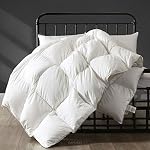 APSMILE Heavyweight Full/Queen Peignes d'oie vers le bas consolateur pour le temps plus froid / veilleur, Ultra-Soft Hotel Collection Goose Down Couette Insert, 46oz Consolateur de descente d'hiver épais et moelleux(90x90, Blanc)