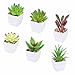 Tifuly 6 Pezzi Piante succulente in Vaso Artificiali, Piante grasse realistiche Piccole Piante Verdi finte con Vaso in melamina per la Decorazione della Scuola del Ministero degli Interni (Set 3)
