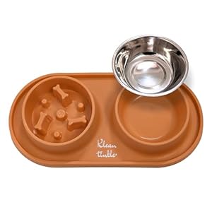 Pets Dog Bowl Set – Anti Skid Removable Double Slow Feeder Dog Bowls with Non Skid Silicone Mat – Stainless Steel Dog Water Bowl for Cats & Pets –A Beautiful Tangerine Orange Color