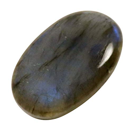 DENMOUS ���u���h���C�g �V�R�u���[ �t���b�V�� ��� �ȉ~�` ���[�X �J�{�V���� 36.35�J���b�g Kl20-B081SYM1-1D