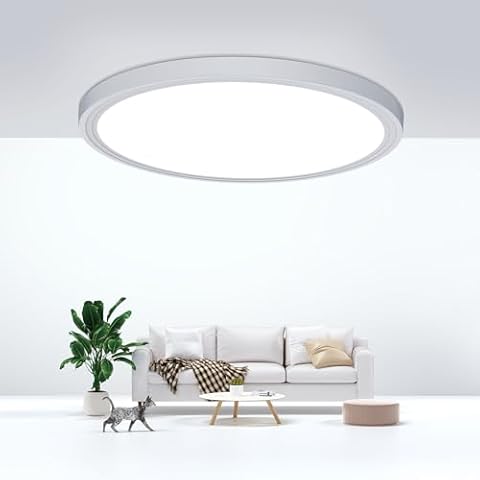 DEALGADGETS Flush Mount Ceiling Light Fixtures,24W Flat led Light for Ceiling,6000K 2200LM Ultra Thin Round White Lamp for Bedroom Kitchen,Bathroom,Garage,Living Room, Dining Room Cover