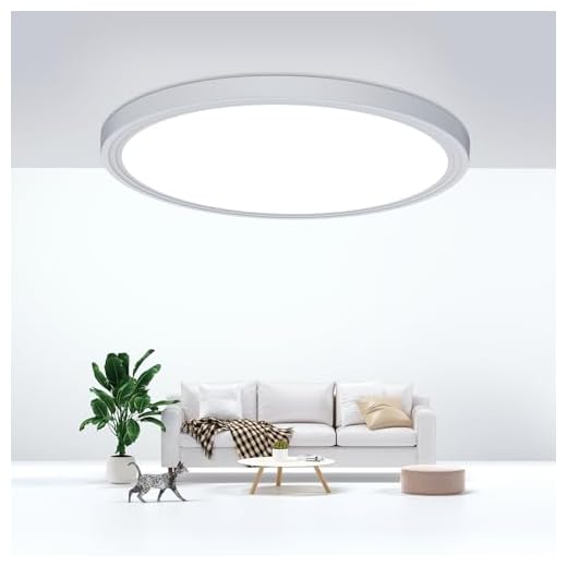 DEALGADGETS Flush Mount Ceiling Light Fixtures,24W Flat led Light for Ceiling,6000K 2200LM Ultra Thin Round White Lamp for Bedroom Kitchen,Bathroom,Garage,Living Room, Dining Room