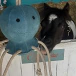 Ruggles Horse Stable Toy | Boredom buster for horse pony donkey | Equine stress relief toy - Ollie Octopus (Blue)