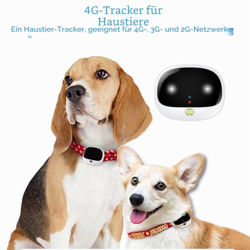 Wiederaufladbares kabelloses Hundezaunhalsband, Echtzeit-Tracking, wasserdichter Haustier-Ortungsgerät, Haustier-Eingrenzungssystem mit intelligentem LED-Licht, für kleine bis mittelgroße Hunde(Black)