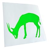 🔰 QUALITÄT: Aufkleber der Marke KIWISTAR. Diese schönen Decals sind sehr vielseitig im Innen und Außenbereich anwendbar. Wählen Sie ein Design der Heckscheibenaufkleber aus unserer Auswahl in unseren zahlreichen bunten Farben. Auch unsere neuen NEON Farben sind leicht montierbar.