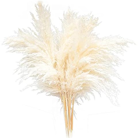 RSTYS 5Pcs Natural Dried Pampas Grass, 17.7 inch Faux Pampas Grass Large Tall Fluffy ,White Pompous Grass, Bunny Tails, Natural Reed Grass for Vase Filler Home Wedding Decor Cover