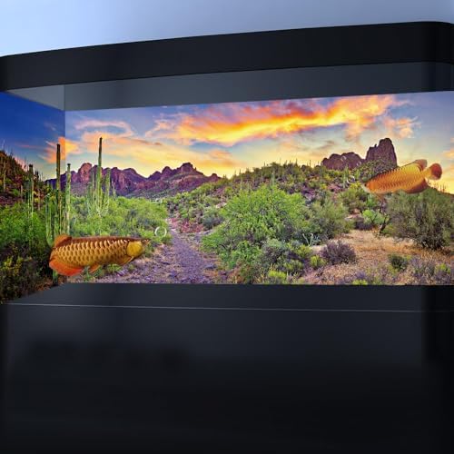 Reptile Habitat Background Rock Blue Sky Oasis 48x20in