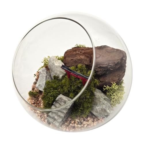 ۃv KXh[ 12cm ^Cv [YsN i eE ͂Ȃ  vU[uh sv sv Y { ~j`A Mtg v[g 