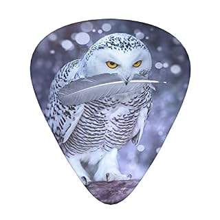 Ensemble de 12 médiators de guitare Arctic Owl pour guitare acoustique, guitare électrique, contrebasse, ukulélé - Les Beatles, Paul McCartney, John Lennon, RIngo Starr, George Harrison