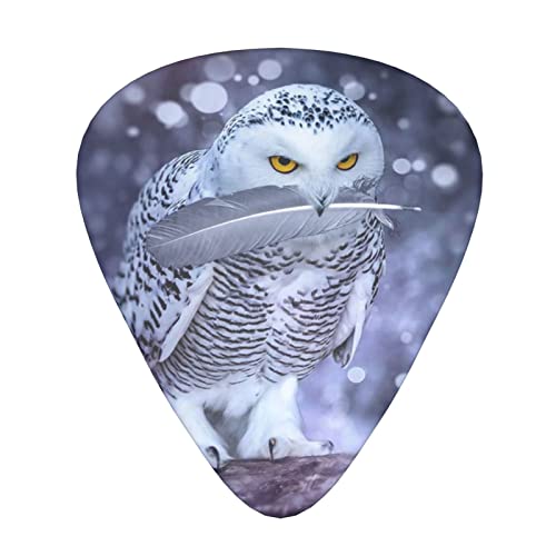 Ensemble de 12 médiators de guitare Arctic Owl pour guitare acoustique, guitare électrique, contrebasse, ukulélé - Les Beatles, Paul McCartney, John Lennon, RIngo Starr, George Harrison Ensemble de 12 médiators de guitare Arctic Owl pour guitare acoustique, guitare électrique, contrebasse, ukulélé