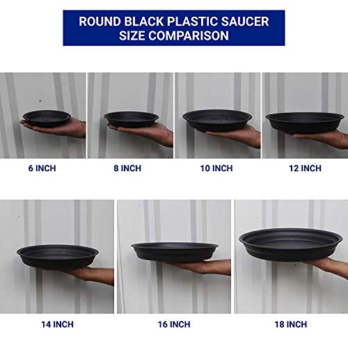 TrustBasket UV Treated Round Bottom Tray(Plate/Saucer) Suitable for 12 inch Round Plastic Pot- Black Color - Set of 3 | Heavy Duty Highly Durable Plant saucerGamla for Indoor Home Decor & Outdoor Balcony Garden