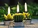 LA BELLEFÉE Tea lights Candles Gift Set, Cactus Terrarium Candle Delicate Succulent Handmade Cute Small Candles for Home Plant Gifts, Party Wedding Mothers Day Valentines Day Gifts Decoration(6 Packs)