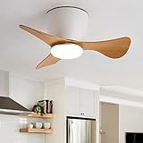 DIDER 22'' Low Profile Ceiling Fan with Lights Remote Control, 3 Curved Blades, Smart Modern White...