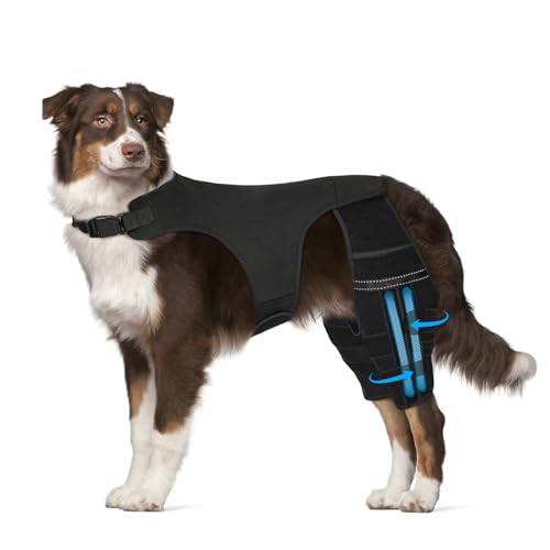 Marnonsis Dog Leg Braces for Back Leg, Adjustable Dog Knee Brace for Torn Acl Hind Leg with 4 Stabilizers, Hip Support to Reduces Pain, Ligament Injuries & Luxating Patella for Small Medium Large Dogs