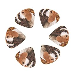 Lot de 12 médiators pour guitare électrique et acoustique Motif chien Beagle en automne - Les Beatles, Paul McCartney, John Lennon, RIngo Starr, George Harrison Lot de 12 médiators pour guitare électrique et acoustique Motif chien Beagle en automne – Image 2
