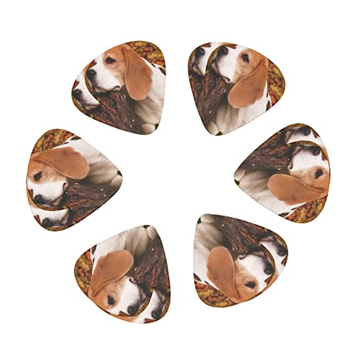 Lot de 12 médiators pour guitare électrique et acoustique Motif chien Beagle en automne - Les Beatles, Paul McCartney, John Lennon, RIngo Starr, George Harrison Lot de 12 médiators pour guitare électrique et acoustique Motif chien Beagle en automne – Image 3