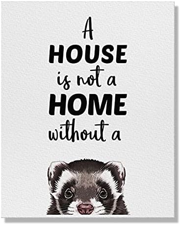 Wayfare Art, A House is Not A Home Without A Ferret Pet Canvas Prints Artwork Wall Art Poster for Home Office Living Room Decorations 8 x 10 inch