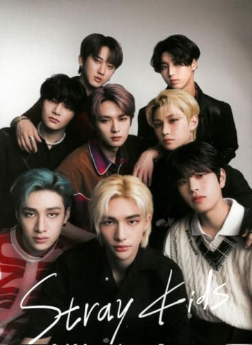 Diamond Painting Stray Kids FANGMKJ avec Strass Ronds Complets Haute Brillance