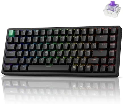 Keychron K2 HE Rapid Trigger Wireless Custom Mechanical Keyboard ...