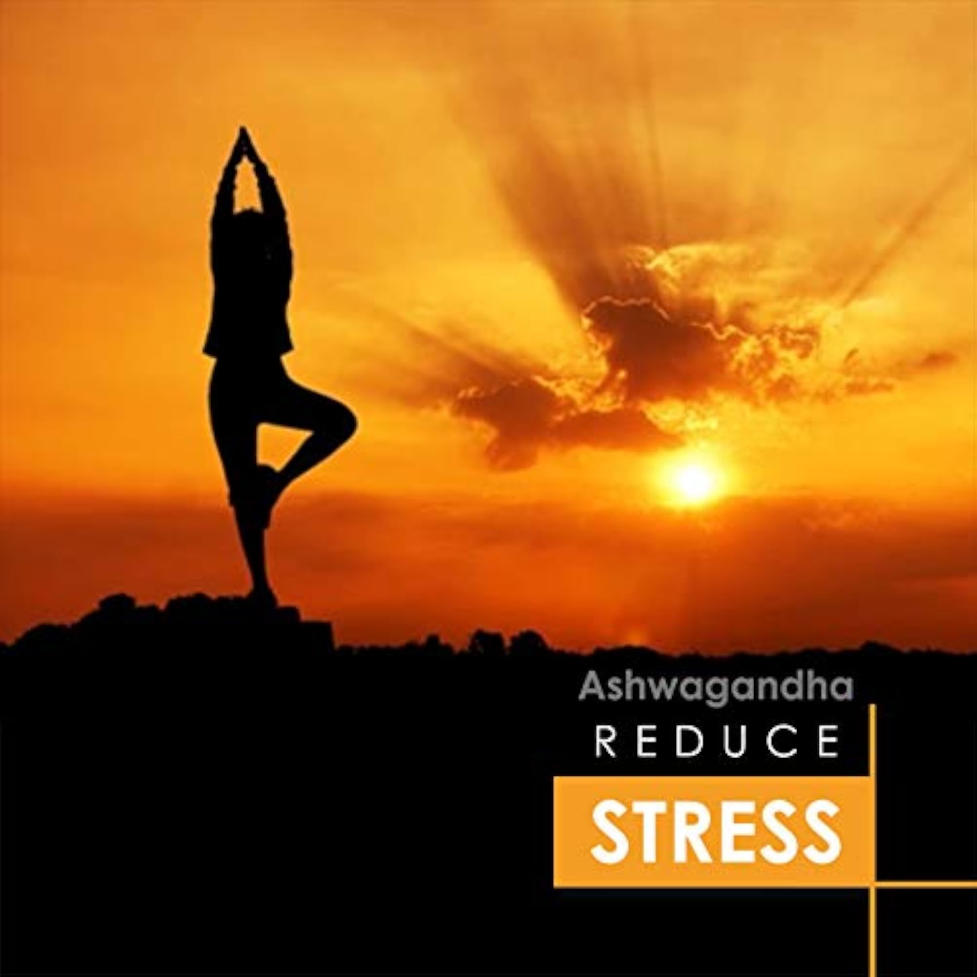 Pure Ashwagandha Powder, 50g
