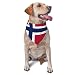 Norwegian Flag Triangle Dog Bandana Scarf Accessories for Pet Bibs