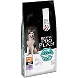 mejor marca comida seca para perros Contiene prebióticos que se ha demostrado científicamente que incrementan las bifidobacterias para un mejor equilibrio de la microflora intestinal