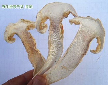 House Dried Matsutake Mushroom Premium Grade 320 Gram #TOP1