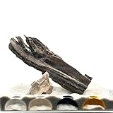 Shrimp Nano Cave - Aquarium Cave Tunnel - Fish Tank Decor | 2 Pack (Black)