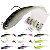 HOBOHY 10Pcs Jig Head Soft Plastic Fishing Lures, Crappie Jig Head Bait, with Paddle Tail Swimbaits