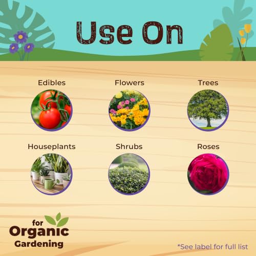 Bonide Captain Jack's Rose Rx 4-in-1 Insect & Disease Control, 32 oz Ready-to-Use Spray Neem Oil for Organic Gardening - image 2