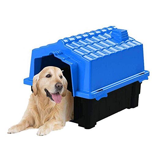 Pet Injet Casa Eco Colors Dog House Evolution Nº4 Azul Para Cães