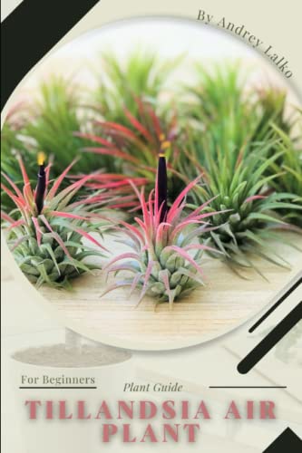 Tillandsia Air Plant: Plant Guide