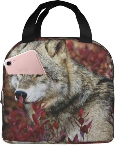 gt̒ɂDFIIJ~ ۗ⃉`obO ٓ 킢 e ܂ y RpNg fMA~V[g |Pbgt g[gobN