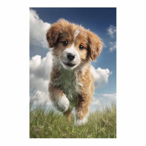 Poster humoristique animalier avec chien drôle tableau moderne