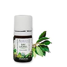 Amrita Aromatherapy Organic Bay Laurel Essential Oil, 100% Pure Undiluted Laurus Nobilis, Therapeutic Grade, Premium Quality Aromatherapy oil, Tested & Verified, 5ML