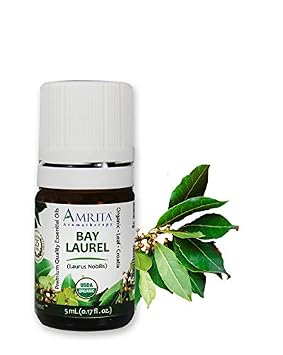Amrita Aromatherapy Organic Bay Laurel Essential Oil, 100% Pure Undiluted Laurus Nobilis, Therapeutic Grade, Premium Quality Aromatherapy oil, Tested & Verified, 5ML