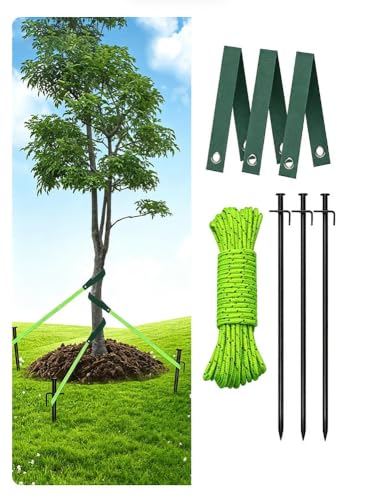 Générique Kit de Haubanage Arbre, 3 Piquets, 3 Cordes et 3 Sangles