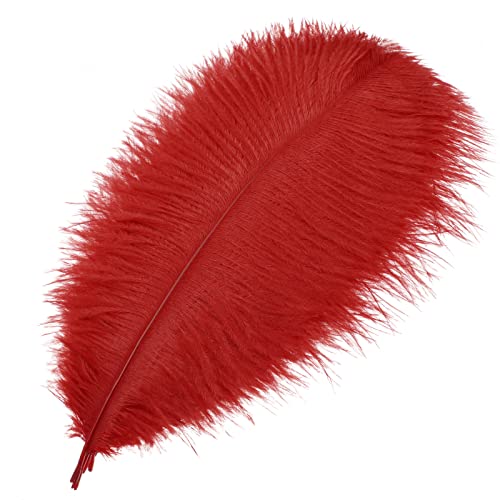 MWOOT 10pcs Natural Plumas de Avestruz, 10–12...