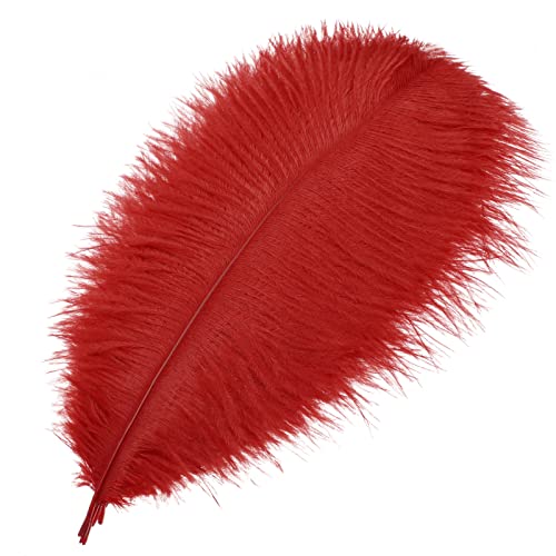 MWOOT 10 Stück Natürliche Straußenfedern, Strauß Feder Plume für Hochzeit Party Fest Tisch Herzstück Dekoration (Schwarz, 25-30 cm) (rot)