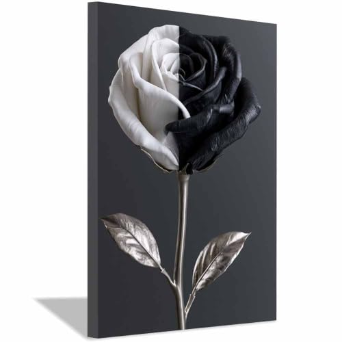 Affiche decoration photo noir et blanc cadre bicolore ros argentés pour cadre moderne 20x30