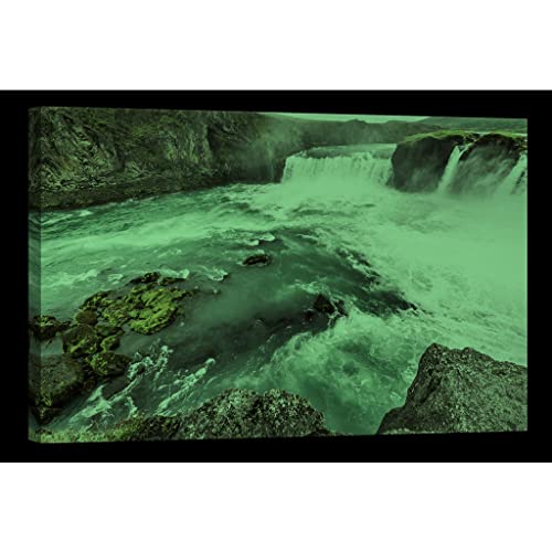 Tableau phosphorescent nature qui brille dans le noir 80x120 cm DCL121 - 2