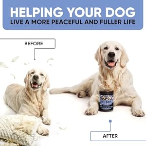 Calming Chews for Dogs - Anxiety Relief for Dogs - Dog Calming Treats with Hemp Oil for All Breeds - Hip & Joint Health - 180 Duck-Flavor Chews - Aid during Fireworks, Thunderstorms, Separation Calming Chews for Dogs – Anxiety Relief for Dogs – Dog Calming Treats with Hemp Oil for All Breeds – Hip & Joint Health – 180 Duck-Flavor Chews – Aid during Fireworks, Thunderstorms, Separation