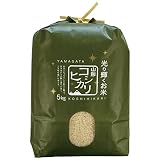 精米 令和７年産 山形県産 コシヒカ