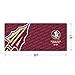 YouTheFan NCAA Florida State Seminoles Logo Series Desk Pad, Team Colors