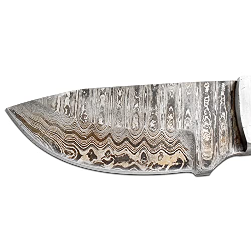 Wild Turkey Handmade Damascus Steel Ram Horn Handle Fixed Blade Full Tang Hunting Knife W/Leather Sheath Hunting Camping Fishing Outdoor #TOP2