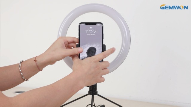 GEMWON Ringlicht mit Stativ Handy, 10 Zoll LED Selfie Ringleuchte für Laptop, TikTok, YouTube, Webcam, Videokonferenz (3… – Bild 8